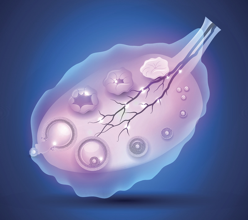 克里奥斯精子银行,试管费用